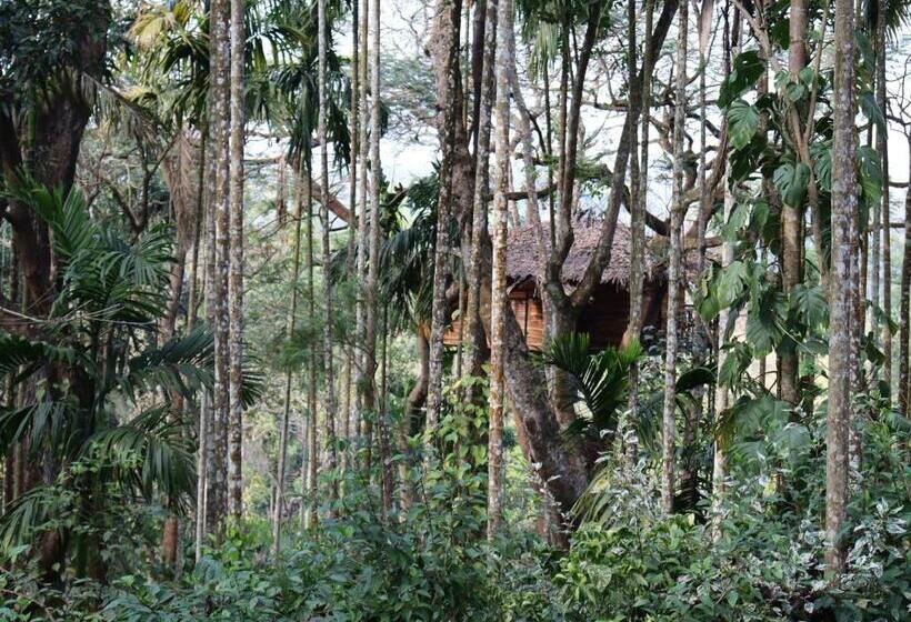 Дом 1 Спальня, Tranquil Resort   Blusalzz Collection, Wayanad   Kerala