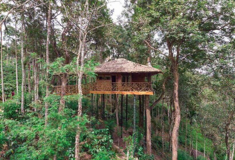 Вилла 1 Спальня, Tranquil Resort   Blusalzz Collection, Wayanad   Kerala