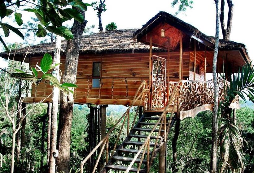 Вилла 1 Спальня, Tranquil Resort   Blusalzz Collection, Wayanad   Kerala
