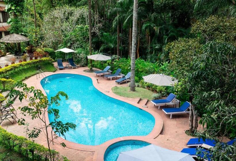 Люкс Повышенной Комфортности, Tranquil Resort   Blusalzz Collection, Wayanad   Kerala