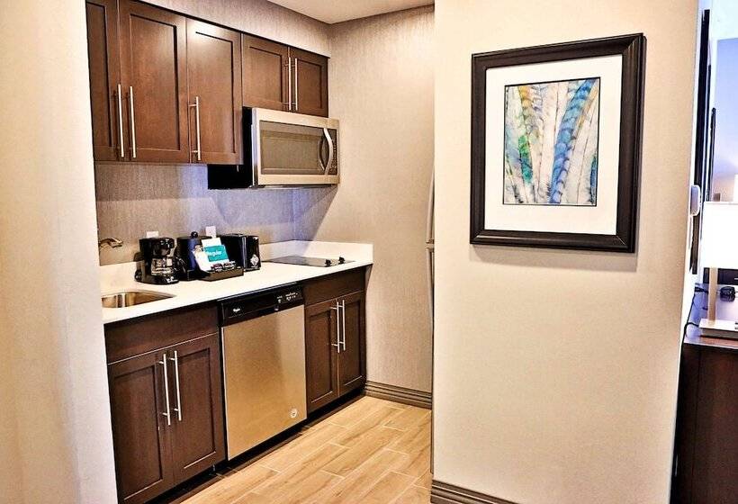 Студия Премиум, Homewood Suites By Hilton   Asheville