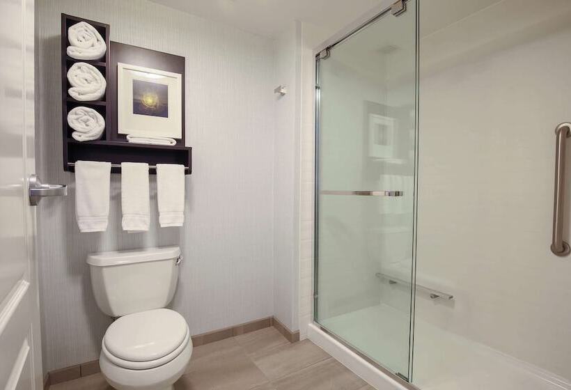 Люкс Премиум, Homewood Suites By Hilton   Asheville