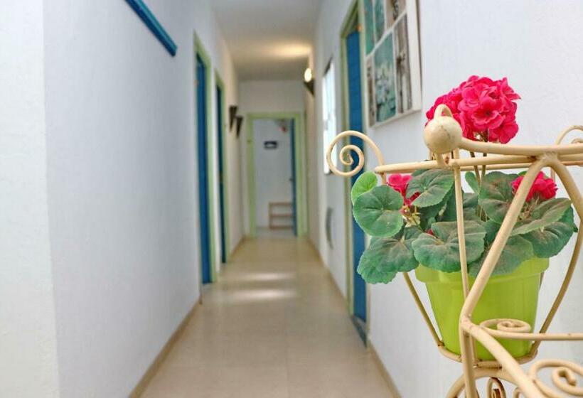 اتاق استاندارد, Habitación Cañaveral Playa Conil I