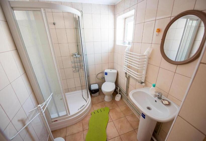 Номер Стандарт Вид на Горы, Gazdіvska Hata Guest House