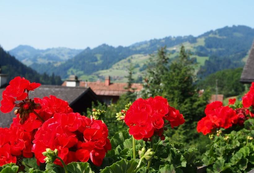 Номер Стандарт, Simmental