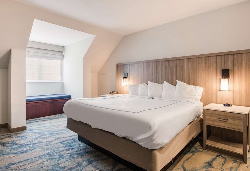 Люкс, Heidel House Hotel And Conference Center, Ascend Hotel Collection