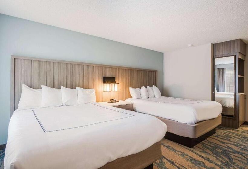 Номер Стандарт Адаптированный для Инвалидов, Heidel House Hotel And Conference Center, Ascend Hotel Collection