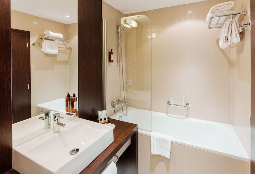 اتاق استاندارد با چشم‌انداز شهر, Holiday Inn Zilina, An Ihg