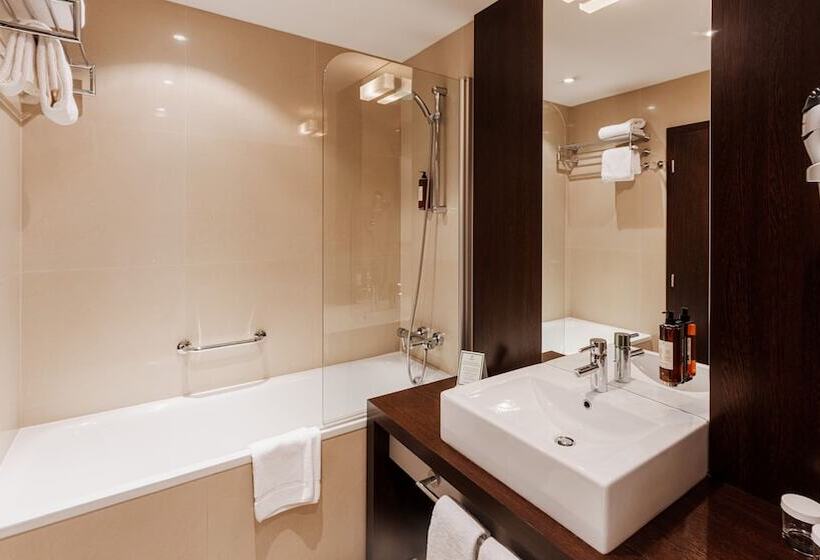اتاق استاندارد با تخت دوبل, Holiday Inn Zilina, An Ihg