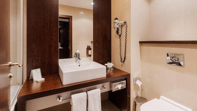 اتاق استاندارد, Holiday Inn Zilina, An Ihg