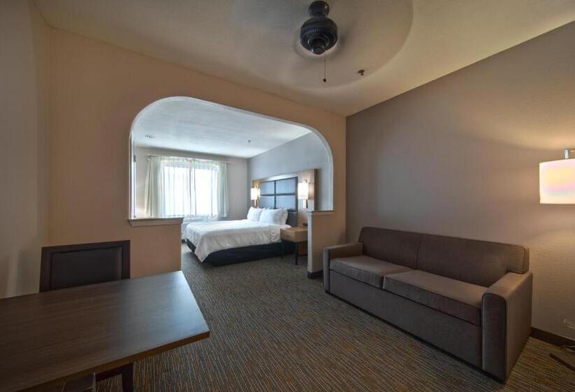 سوئیت برای معلولان, Wingate By Wyndham Houston Bush Intercontinental Airport