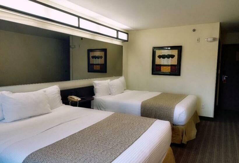 スタンダードルーム, Microtel Inn And Suites By Wyndham Toluca