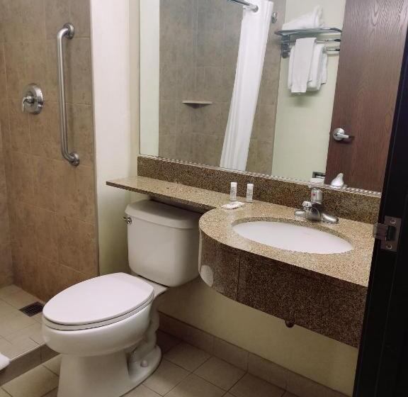 スイート, Microtel Inn And Suites By Wyndham Toluca