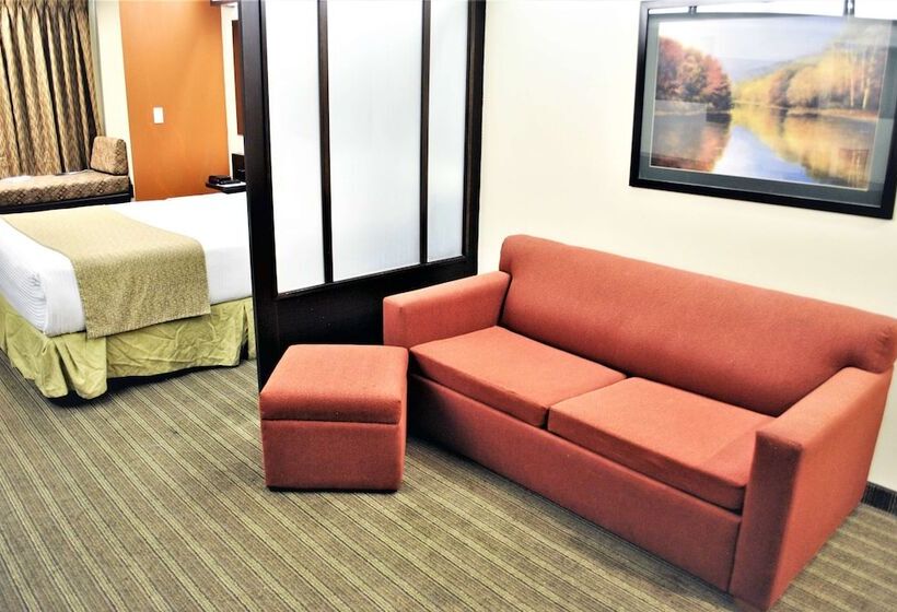 スタンダードルーム, Microtel Inn And Suites By Wyndham Toluca