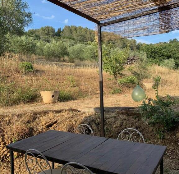 Family Suite, Operaviva
