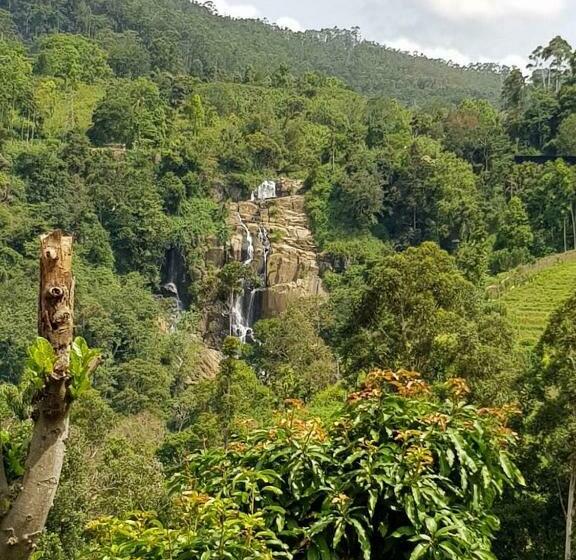 标准间带山景, Rock Grand View