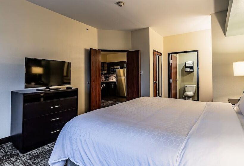 スイート, Staybridge Suites Laredo, An Ihg