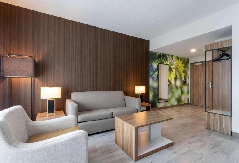Deluxe-huone Soveltuu Liikuntarajoitteisille, Wyndham Garden Orlando Airport   Free Airport Shuttle