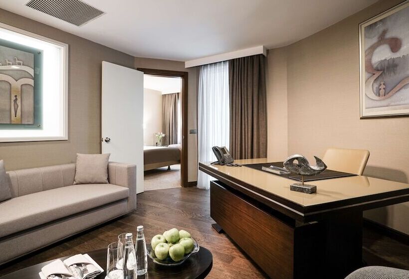 Президентский Люкс, Occidental Ankara