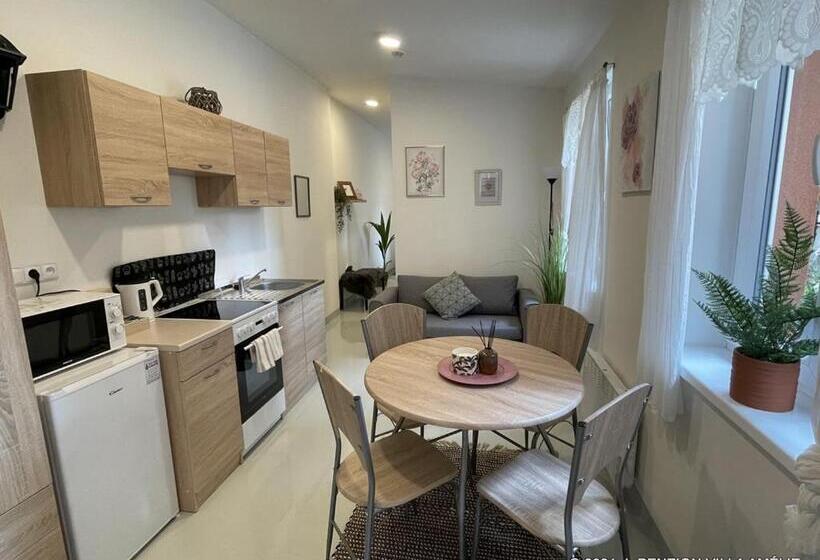 Апартаменты 1 Спальня с Террасой, Penzion Villa Amélie