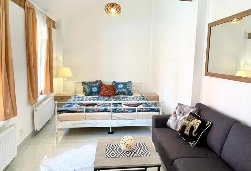 Апартаменты 1 Спальня с Террасой, Penzion Villa Amélie