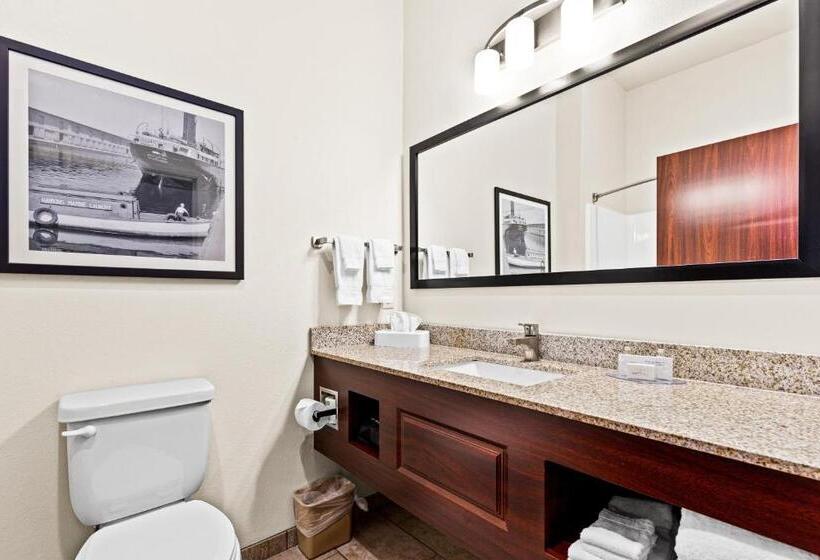 Стандартный Номер Кровать Кинг, Cobblestone Hotel & Suites   Superior Duluth