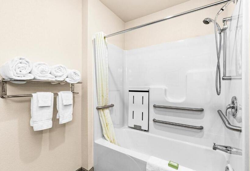 Студия Стандарт, Cobblestone Hotel & Suites   Superior Duluth