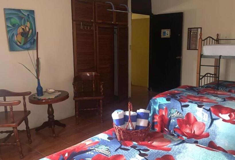 스탠다드 룸, Hostal Familiar Villa Nome