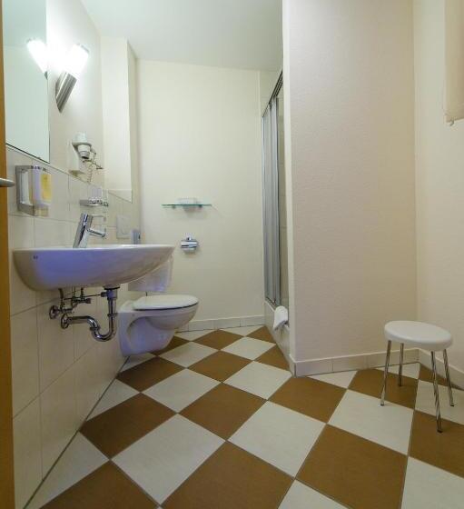 Номер Deluxe Одноместный, Akzent Hotel Goldner Stern