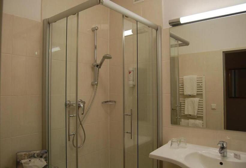 غرفة قياسية فردية, Parkhotel Bad Bevensen