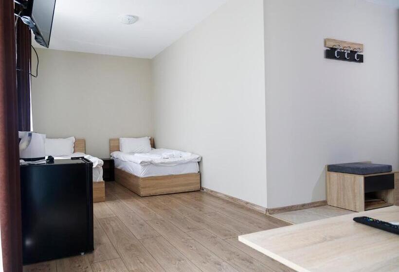 标准工作室带阳台, Family Hotel   City Hotel Yambol