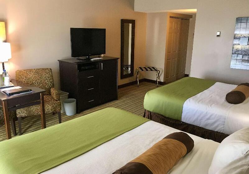 اتاق استاندارد, Bed Nbudget Expo Hostel Rooms