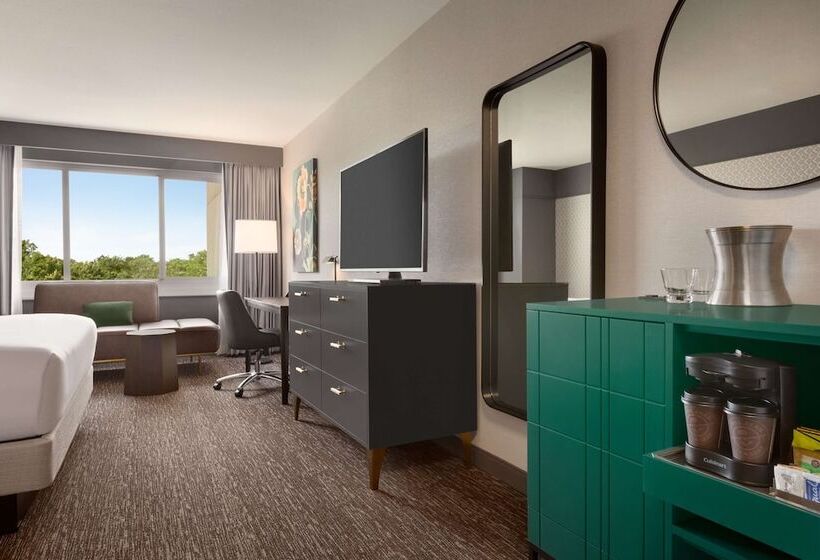 장애인을 위한 스탠다드 룸, Hilton Baltimore Bwi Airport