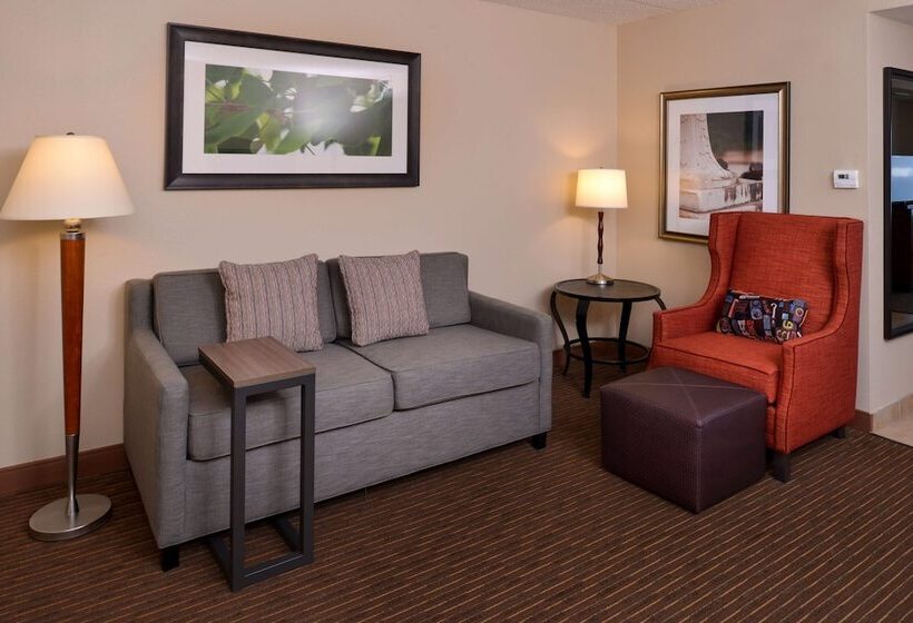 スタンダードルーム, Hilton Garden Inn Baltimore/white Marsh