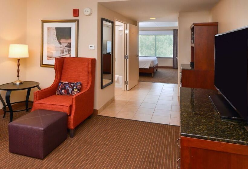 ジュニアスイート, Hilton Garden Inn Baltimore/white Marsh