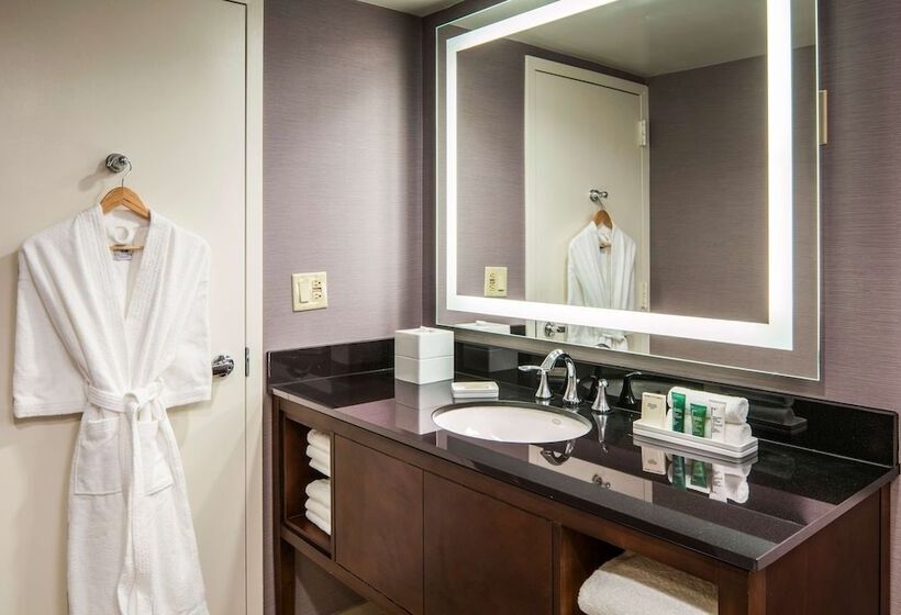 Полулюкс, Hilton Washington Dc/rockville Hotel & Executive Meeting Ctr