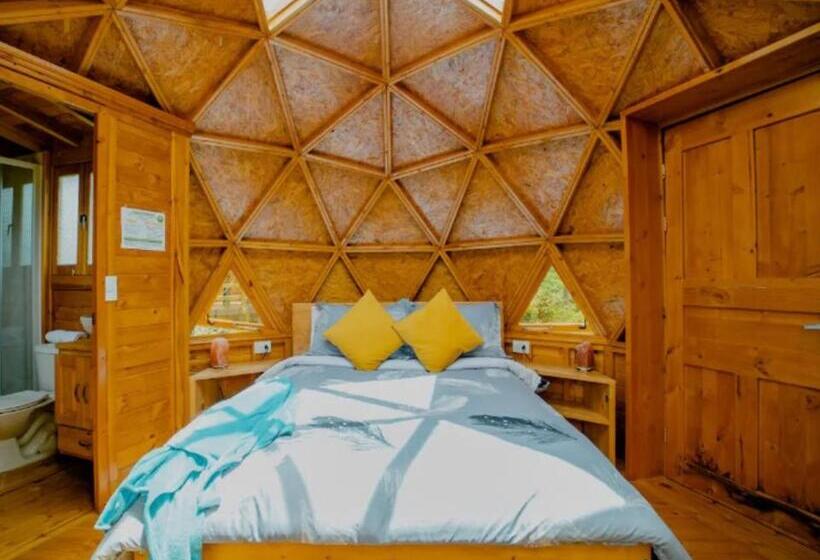 Номер Стандарт, Los Nopales Glamping
