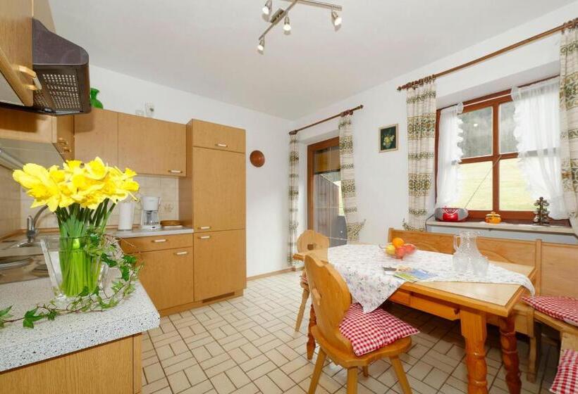 Апартаменты 1 Спальня с Видом, Gästehaus Koyerbauer Boardinghouse