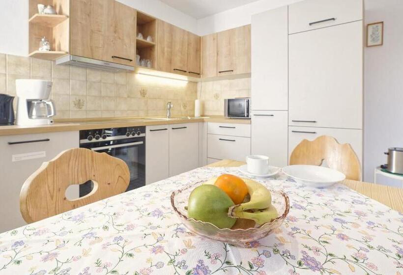 Апартаменты 1 Спальня с Видом, Gästehaus Koyerbauer Boardinghouse