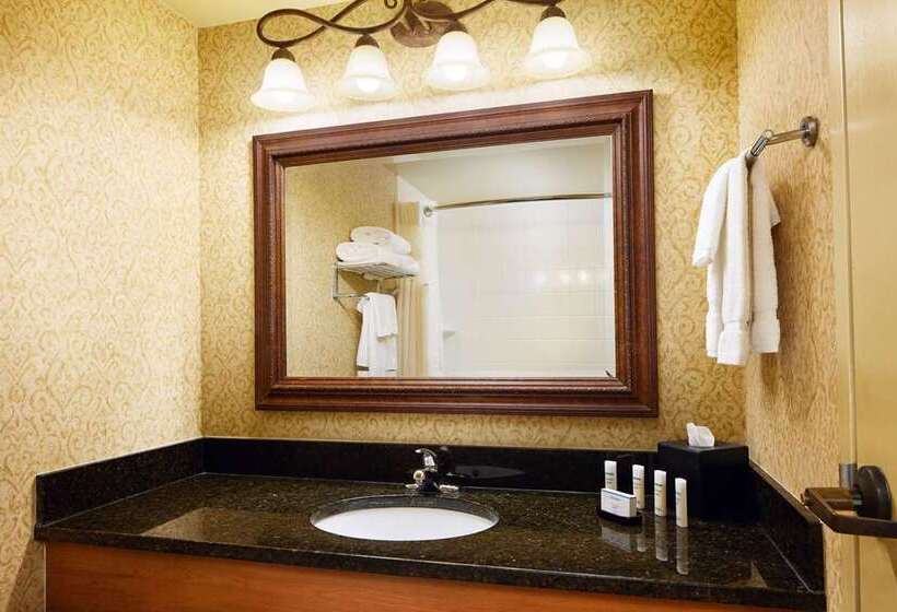 キングサイズベッドのエクゼクティブルーム, Embassy Suites By Hilton Nashville Se Murfreesboro