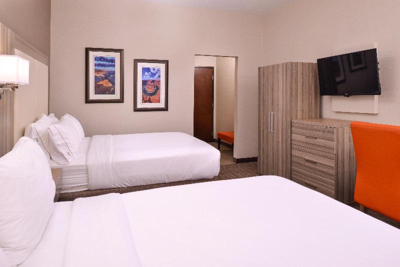 Номер Премиум, Hilton Garden Inn Des Moines/urbandale