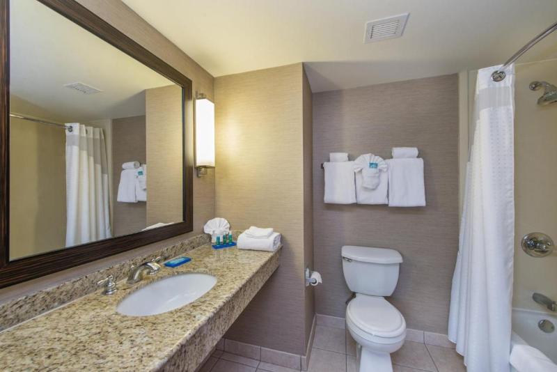 Люкс Кровать Кинг, Holiday Inn Express Hotel & Suites Auburn, An Ihg