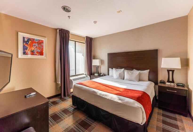 キングサイズベッドのスイートルーム, Comfort Suites Houston West At Clay Road