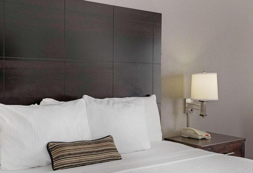 身障者適用スイートルーム, Sonesta Essential Houston Westchase