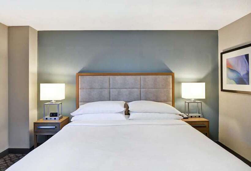 스위트 킹사이즈 침대, Embassy Suites By Hilton Raleigh Durham Airport Brier Creek