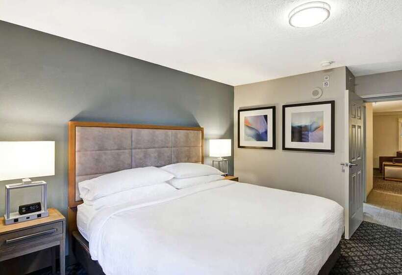 스위트 킹사이즈 침대, Embassy Suites By Hilton Raleigh Durham Airport Brier Creek