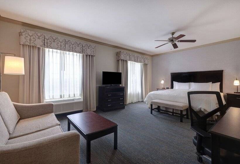 استودیوی استاندارد با تخت دوبل, Hampton Inn & Suites Galveston
