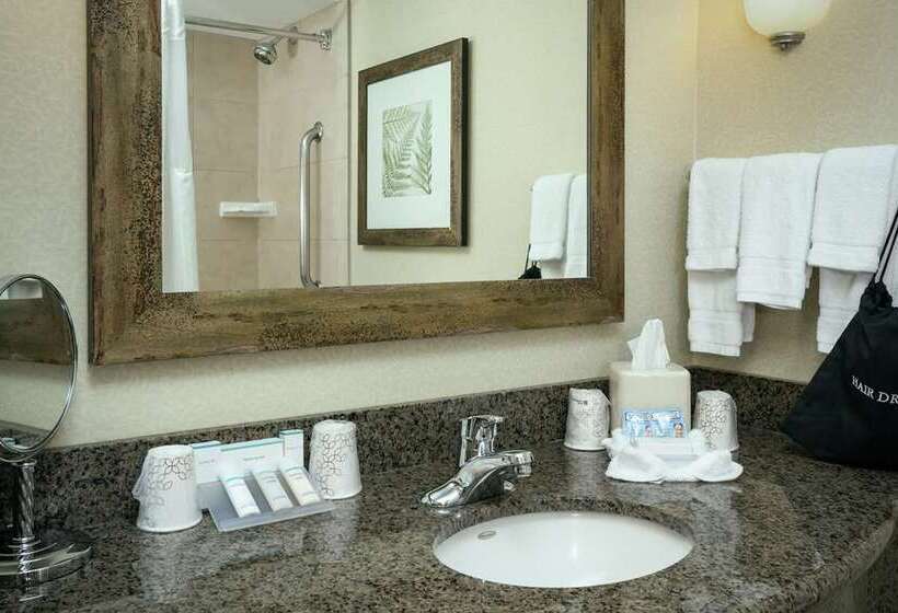 Стандартный Номер Кровать Кинг, Hilton Dallas/southlake Town Square