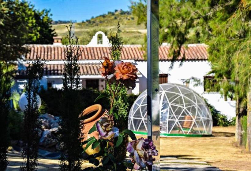 Дом 2 Спальни, Casas Rurales Los Algarrobales