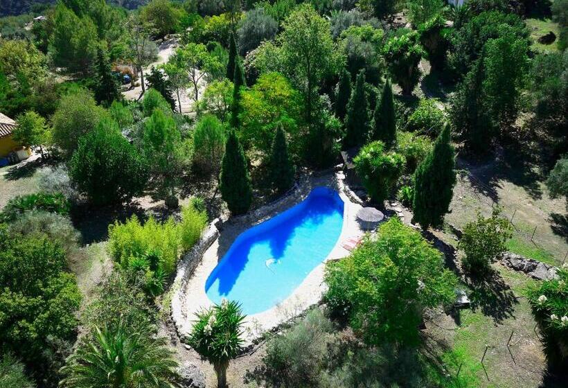 Вилла 5 Спален, Casas Rurales Los Algarrobales